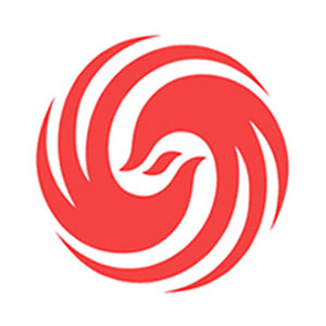 ʳ